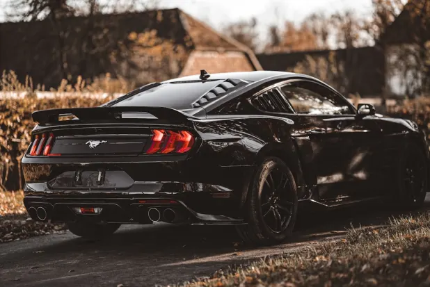 Casino Dingo Android/iOS App